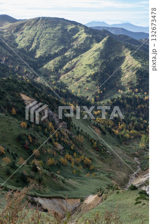 緑と紅葉が織りなす秋の志賀高原 132673478