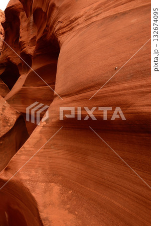 Rattlesnake Slot Canyon Arizona Rattlesnake Slot Canyon Arizona 132674095