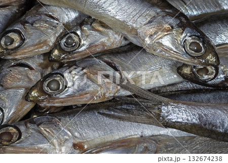 Anchovy fish close up 132674238