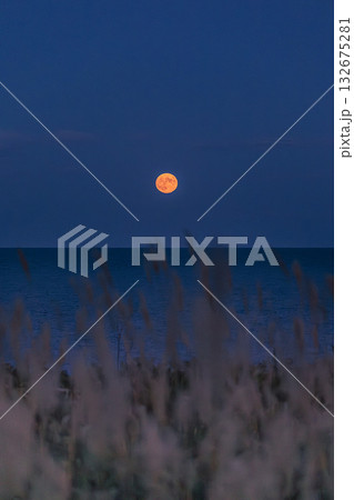 夕闇に染まる海と満月の幻想 132675281