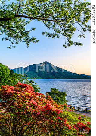 支笏湖に映える初夏のツツジと風不死岳 132675292