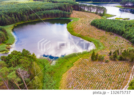 Lake in Tuchola Forests, Poland. Aerial view Lake in Tuchola Forests, Poland. Aerial view 132675737