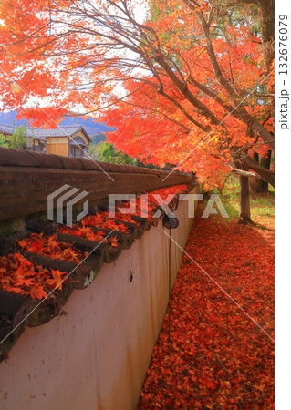 清凉寺(嵯峨釈迦堂)庭園の見事な紅葉<京都市右京区> 清凉寺(嵯峨釈迦堂)庭園の見事な紅葉<京都市右京区> 132676079