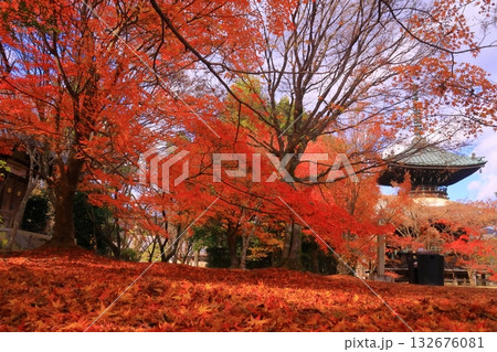 清凉寺（嵯峨釈迦堂）の見事な紅葉＜京都市右京区＞ 132676081