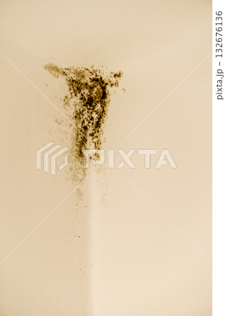 Mold in the corner of light wall Mold in the corner of light wall 132676136