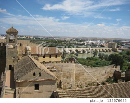 ローマ橋を望むコルドバのアルカサル 132676633