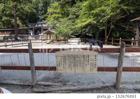 丹生川上神社下社の神馬 （2025年8月撮影） 132676891