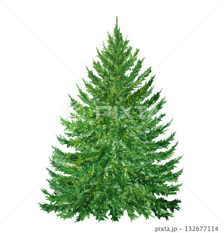 Watercolor Christmas tree. Hand painted New year tree isolated on white background. Holiday illustration for design, gift wrapping paper, cards, invitations 132677114