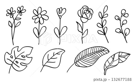 Hand Drawn Flowers and Leaves Doodle Drawing Set Simple Botanical Element.Vector Illustration 132677188