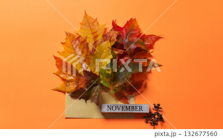Vibrant Autumn Leaves With November Block And Cloves Displayed Vibrant Autumn Leaves With November Block And Cloves Displayed 132677560