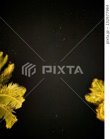 南国リゾートにて、星が瞬く夜空を見上げる 南国リゾートにて、星が瞬く夜空を見上げる 132677964