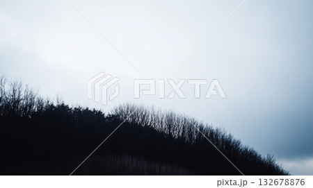 Cloudy sky over a dark forest in early evening light 132678876