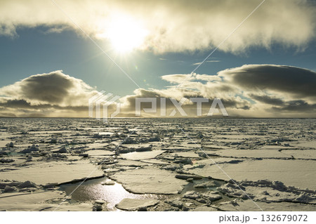 Sea ice in the Barents Sea near Franz Josef Land in summer  132679072