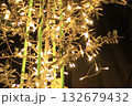 イルミネーション 132679432