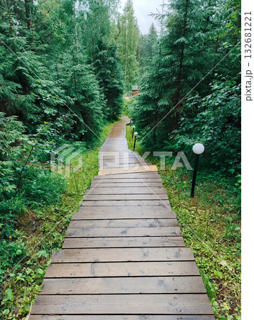 A wooden walkway in a forest. A wooden walkway in a forest. 132681221