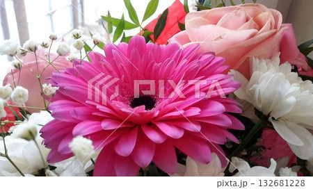 A pink flower with white petals. 132681228