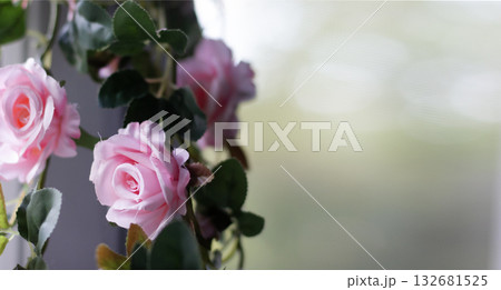 Pink roses in a corner floral arrangement on a blurred background of greenery Pink roses in a corner floral arrangement on a blurred background of greenery 132681525