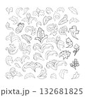 Graphic medieval floral elements 132681825