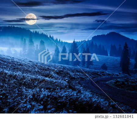 rural road through romania mountain landscape in autumn at night. coniferous forest on rolling hills in fog. natural park in full moon light. beautiful countryside travel background. cloudy sky rural road through romania mountain landscape in autumn at night. coniferous forest on rolling hills in fog. natural park in full moon light. beautiful countryside travel background. cloudy sky 132681841