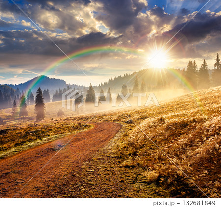 rural road through mountain landscape in autumn at sunset. coniferous forest on rolling hills on a foggy evening in natural park. beautiful countryside travel background. cloudy sky 132681849