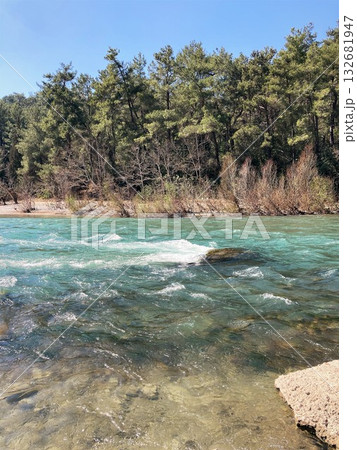 The strong stream of the mountain river comes down from the mountains crystal clear and icy The strong stream of the mountain river comes down from the mountains crystal clear and icy 132681947