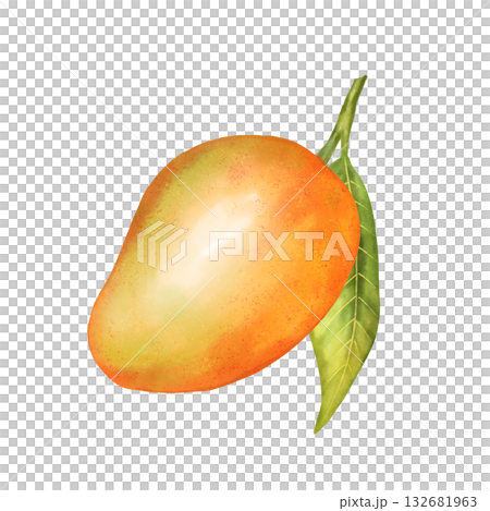 Hand-drawn illustration of a ripe mango. 132681963