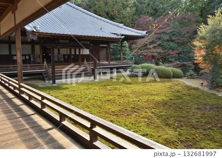 随心院門跡　晩秋の庭園(京都市山科区) 132681997