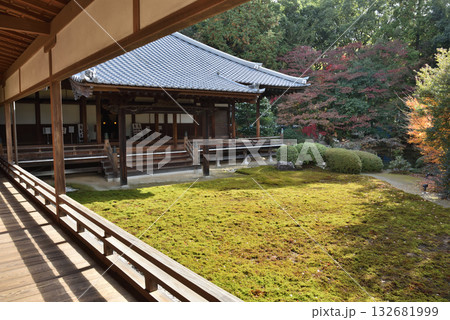 随心院門跡 晩秋の庭園(京都市山科区) 随心院門跡 晩秋の庭園(京都市山科区) 132681999