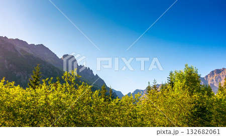 beautiful sunrise in high tatra mountain landscape. national park with pristine alpine forest under blue sky. scenic travel destination, fresh air and ecotourism concept for background. wideangle 132682061