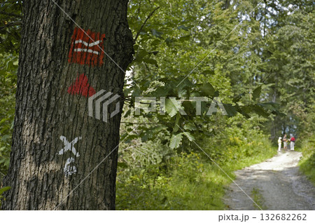 Sign, Rothaarsteig hiking trail, North Rhine-Westphalia, Germany 132682262