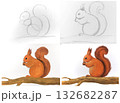 Squirrel drawing tutorial illustration. Step by step guide depicting animal art. Education wildlife nature creation. Artistic expressive style orange white background 132682287