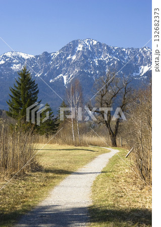 path and mountain, foothills of the alps, Upper Bavaria, Germany 132682373