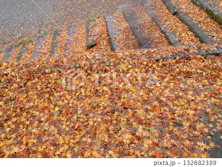 Material Dictionary Vol.94 Landscape of the Four Seasons and Peace. High quality photo Material Dictionary Vol.94 Landscape of the Four Seasons and Peace. High quality photo 132682389