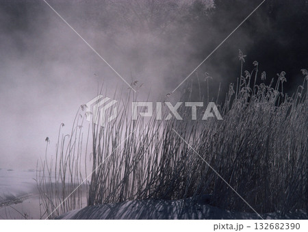 Material Dictionary Vol.94 Landscape of the Four Seasons and Peace. High quality photo Material Dictionary Vol.94 Landscape of the Four Seasons and Peace. High quality photo 132682390