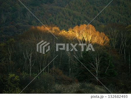 Material Dictionary Vol.94 Landscape of the Four Seasons and Peace. High quality photo Material Dictionary Vol.94 Landscape of the Four Seasons and Peace. High quality photo 132682493