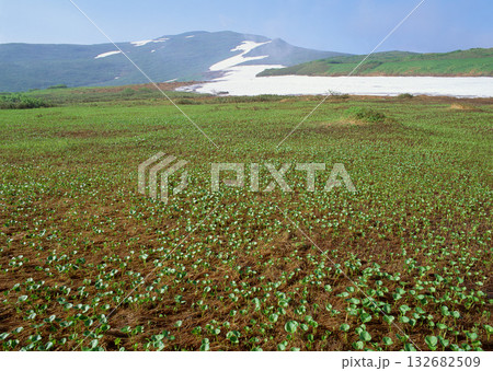 Material Dictionary Vol.94 Landscape of the Four Seasons and Peace. High quality photo Material Dictionary Vol.94 Landscape of the Four Seasons and Peace. High quality photo 132682509