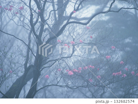 Material Dictionary Vol.94 Landscape of the Four Seasons and Peace. High quality photo Material Dictionary Vol.94 Landscape of the Four Seasons and Peace. High quality photo 132682574