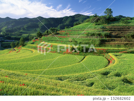 Material Dictionary Vol.94 Landscape of the Four Seasons and Peace. High quality photo Material Dictionary Vol.94 Landscape of the Four Seasons and Peace. High quality photo 132682602