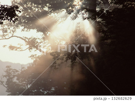 Material Dictionary Vol.94 Landscape of the Four Seasons and Peace. High quality photo 132682629