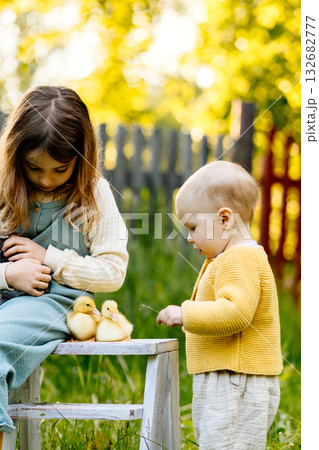 Kids enjoying time with baby animals in the garden. 132682777