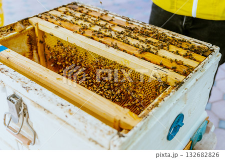 A beekeeper’s gloved hands about to open a new package of bees to add to a hive, Bee hives, bees adding honey. High quality photo 132682826