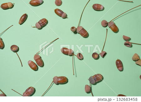 Top view of scattered acorns on a green background Top view of scattered acorns on a green background 132683458