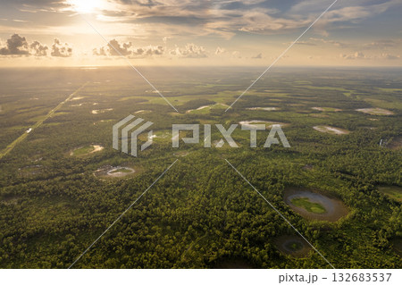 Florida wetlands with water between green wild vegetation. Tropical ecosystem at sunset 132683537