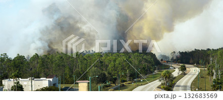 Fire department firetrucks extinguishing wildfire burning severely in Florida jungle woods. Emergency service vehicles trying to put down flames in forest Fire department firetrucks extinguishing wildfire burning severely in Florida jungle woods. Emergency service vehicles trying to put down flames in forest 132683569