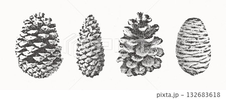 Pine cones set. Christmas stippling photocopy illustration Pine cones set. Christmas stippling photocopy illustration 132683618