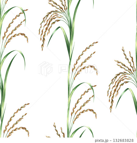 Seamless pattern with rice stalks. Hand-drawn watercolor illustration. Design element for labels, menus, recipes, and cookbooks. For banners, flyers, packaging, and more. 132683828
