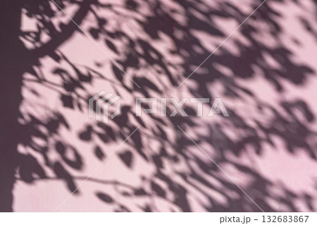 Shadow of Leaves on Wall. Blurred shadow of tree leaves on pink wall creating natural abstract pattern background with soft lighting. Concept of shadow, calm nature, pink backdrop 132683867