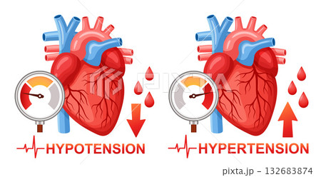 Blood arterial pressure measuring, heart organ health, hypotension, hypertension cardiac cardiology cardiovascular disease. High, low cardio heartbeat pulse rhythm. Tonometer medical equipment vector 132683874