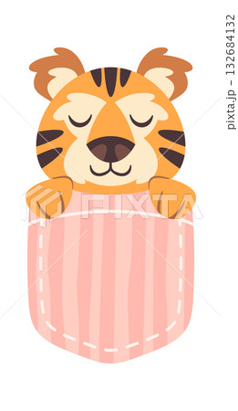Lovely tiger sleeping under blanket Lovely tiger sleeping under blanket 132684132