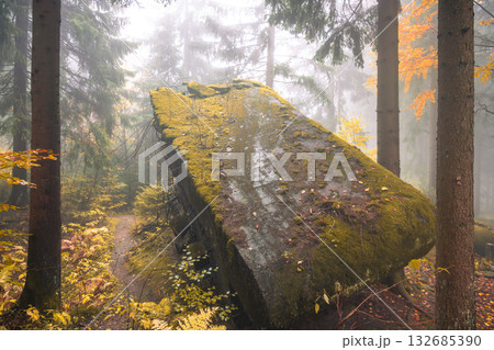 An overturned bunker lies in the misty Orlicke Mountains, surrounded by vibrant autumn foliage. The scene captures the tranquility of fall and the passage of time in nature. An overturned bunker lies in the misty Orlicke Mountains, surrounded by vibrant autumn foliage. The scene captures the tranquility of fall and the passage of time in nature. 132685390